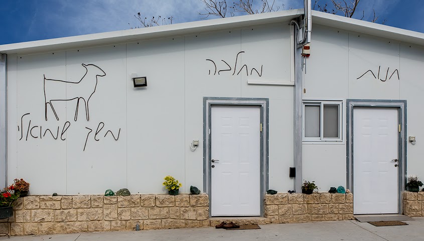 חנות המחלבה